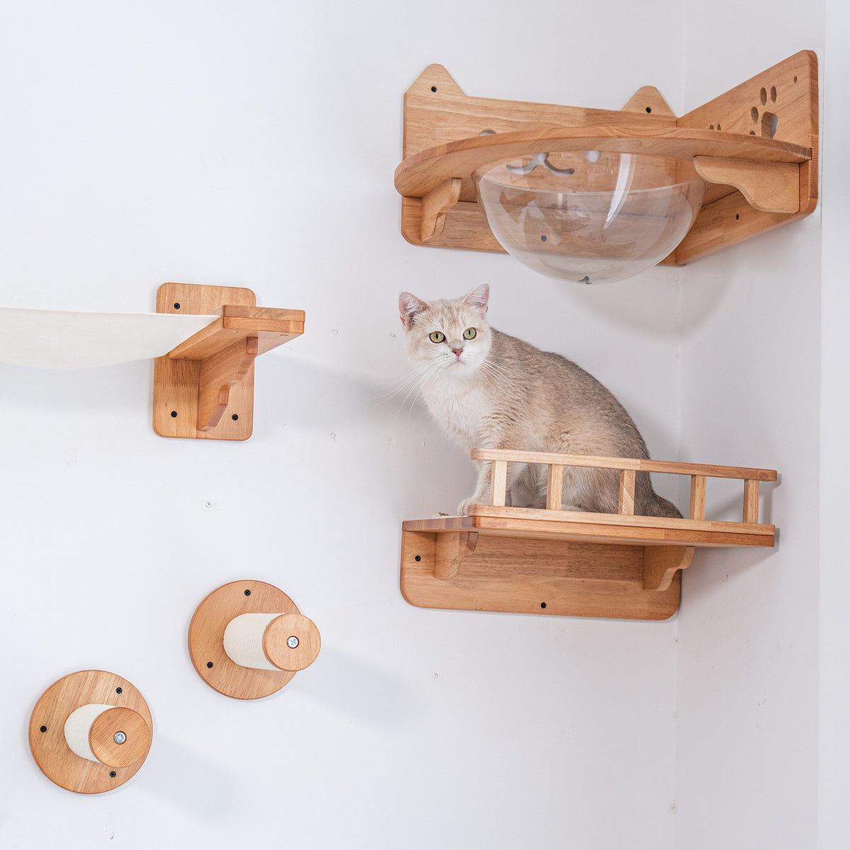 Wall Mounted Cat Furniture product image 6
