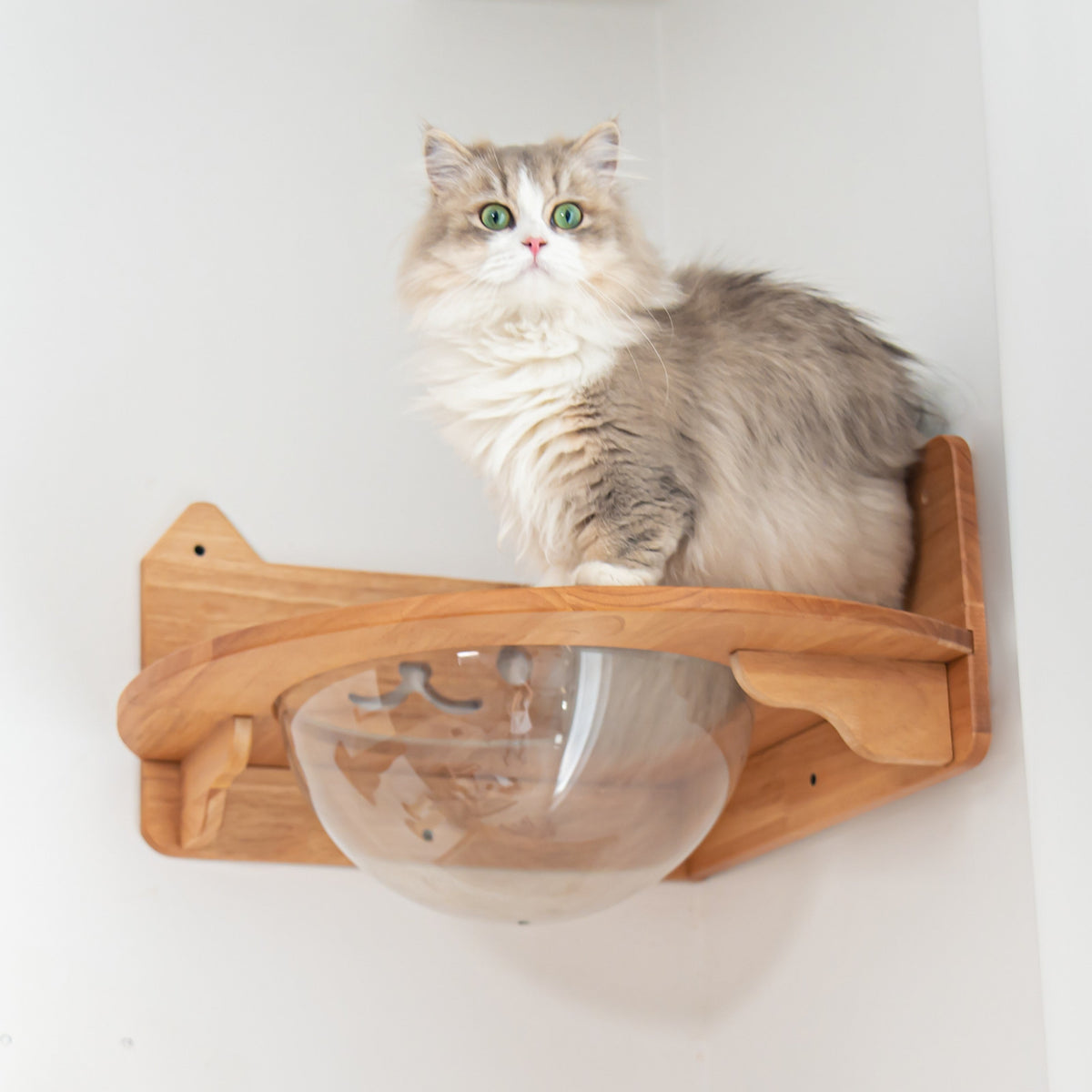 Wall Mounted Cat Furniture product image 7