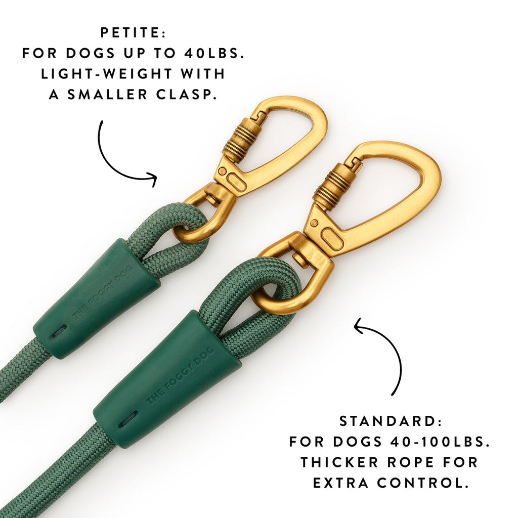 Hands-Free Dog Leash product image 3