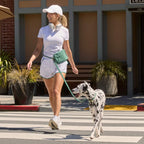 Hands-Free Dog Leash product image 5