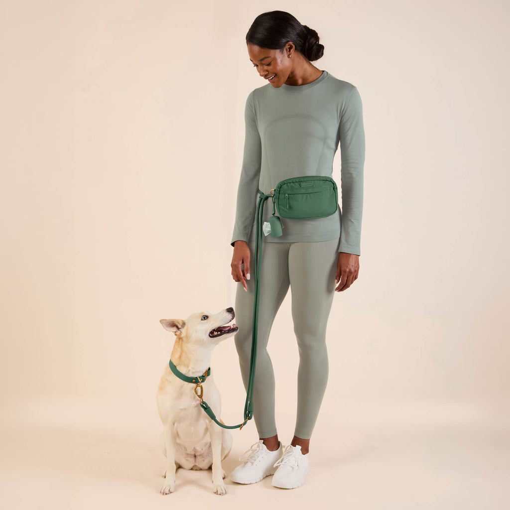 Hands-Free Dog Leash product image 6