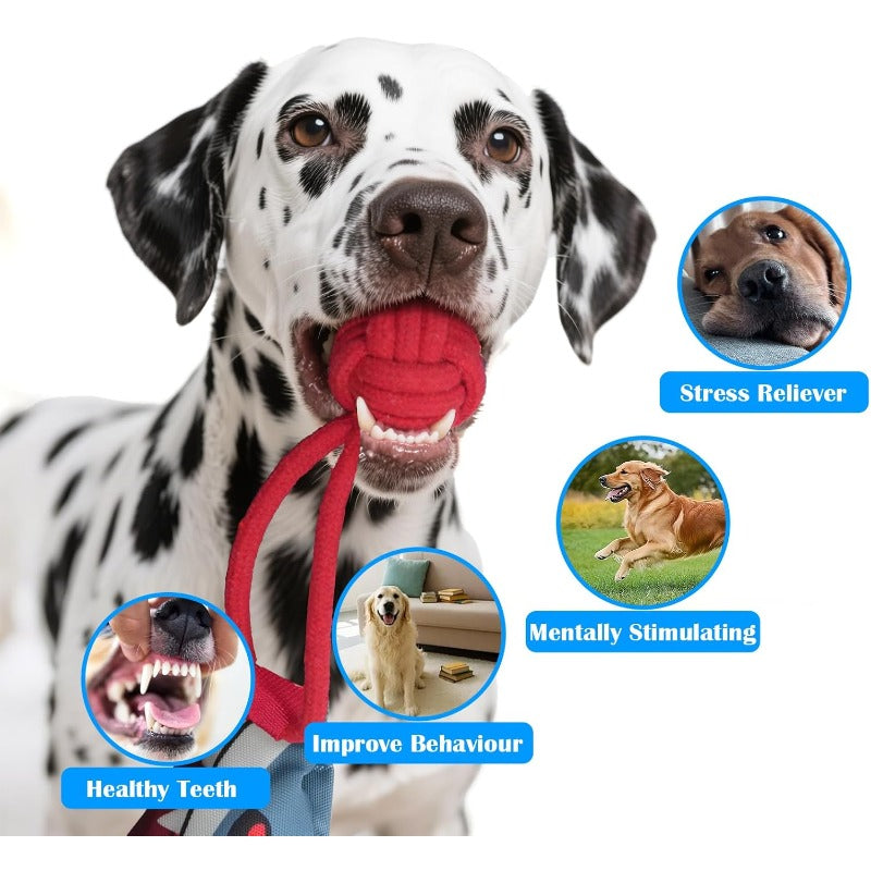 Dog Tug Toy product image 3