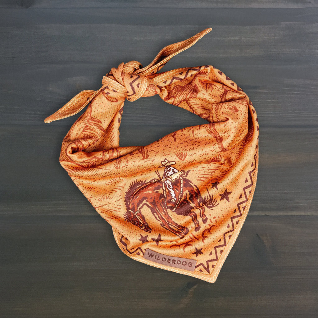 Dog Cooling Bandana product image 1