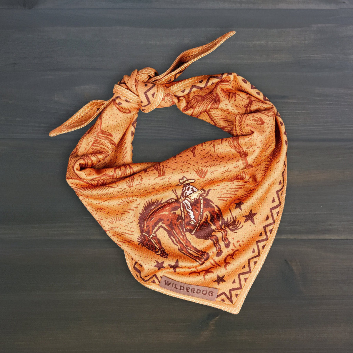 Dog Cooling Bandana product image 1