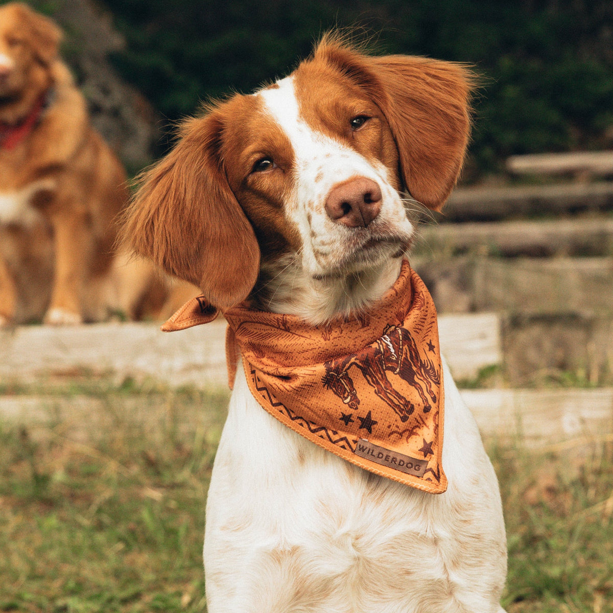 Dog Cooling Bandana product image 2