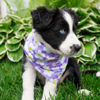 Dog Cooling Bandana product image 3