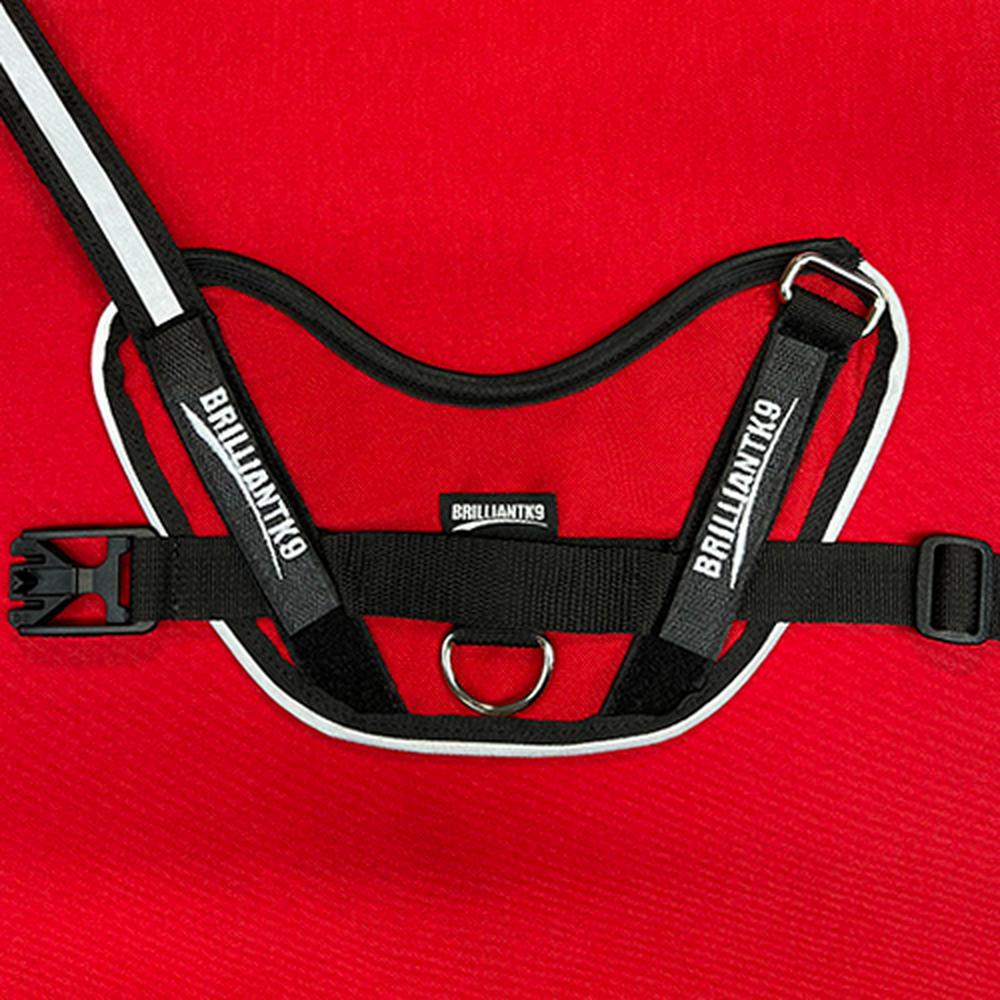 Dog Harness product image 24