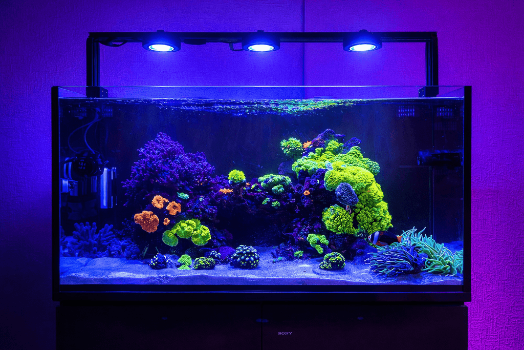 Aquarium Light Rail product image 6