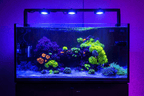Aquarium Light Rail product image 6