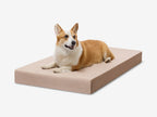 Orthopedic Dog Crate Bed product image 3