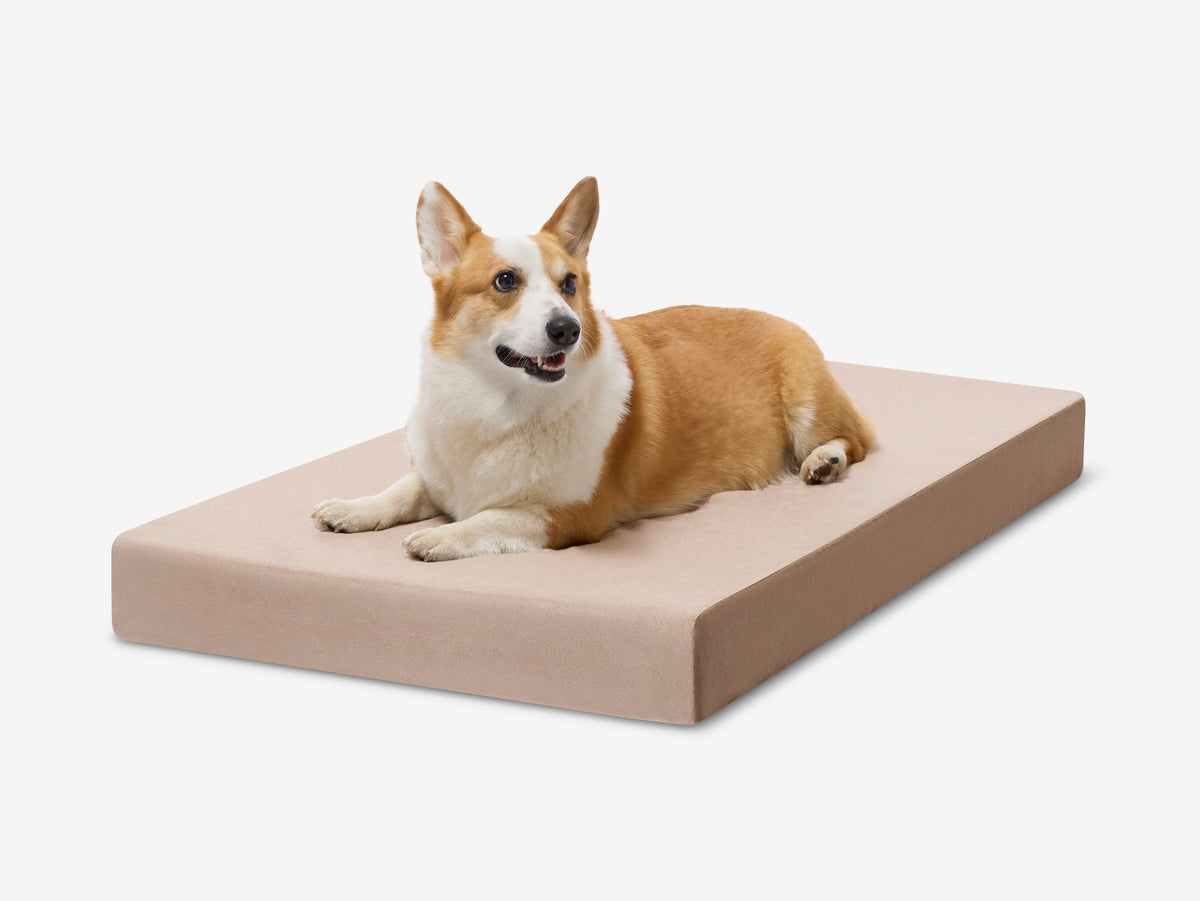 Orthopedic Dog Crate Bed product image 3