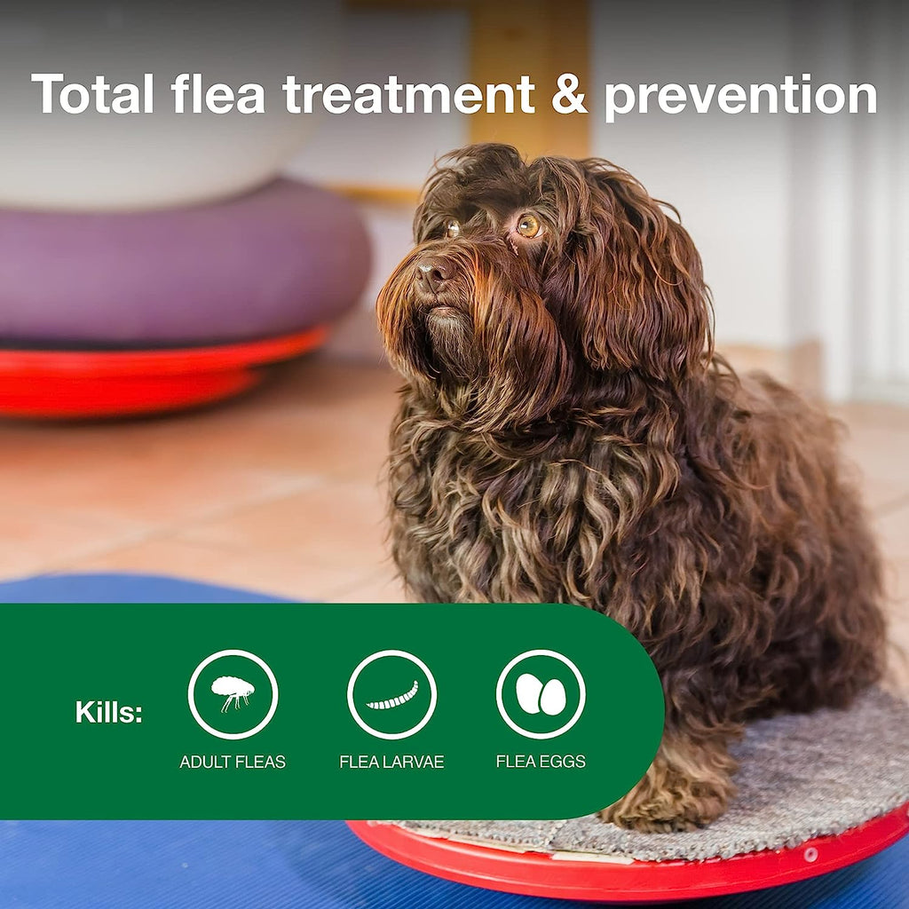 Topical Dog Flea Treatment product image 4