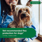 Topical Dog Flea Treatment product image 5