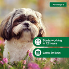 Topical Dog Flea Treatment product image 6
