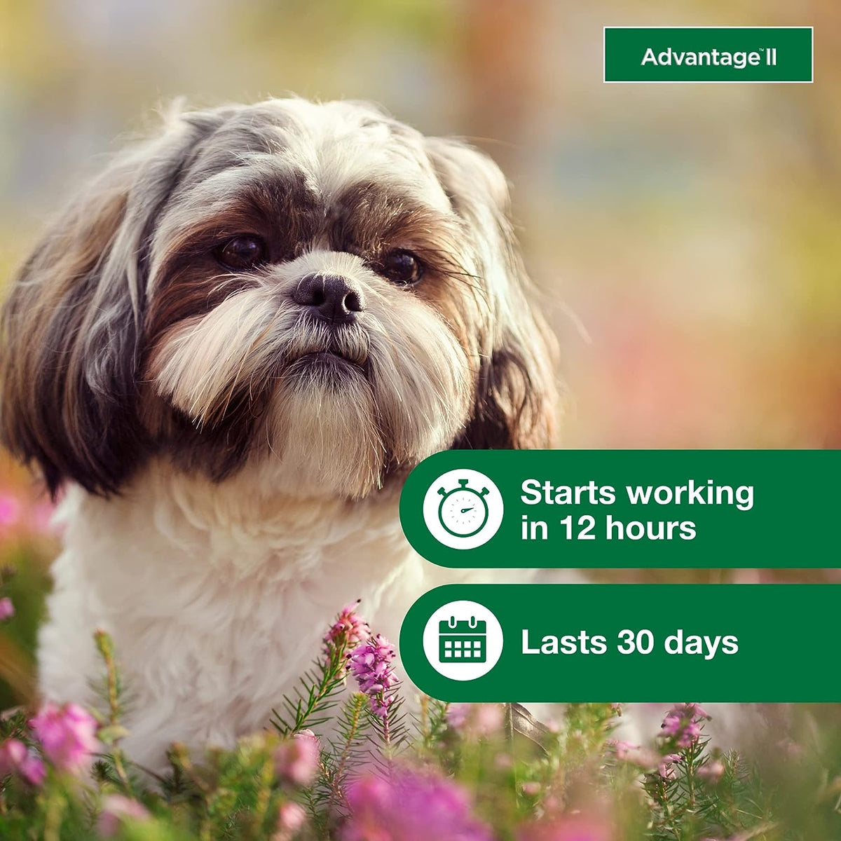 Topical Dog Flea Treatment product image 6