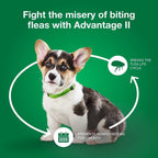 Topical Dog Flea Treatment product image 7