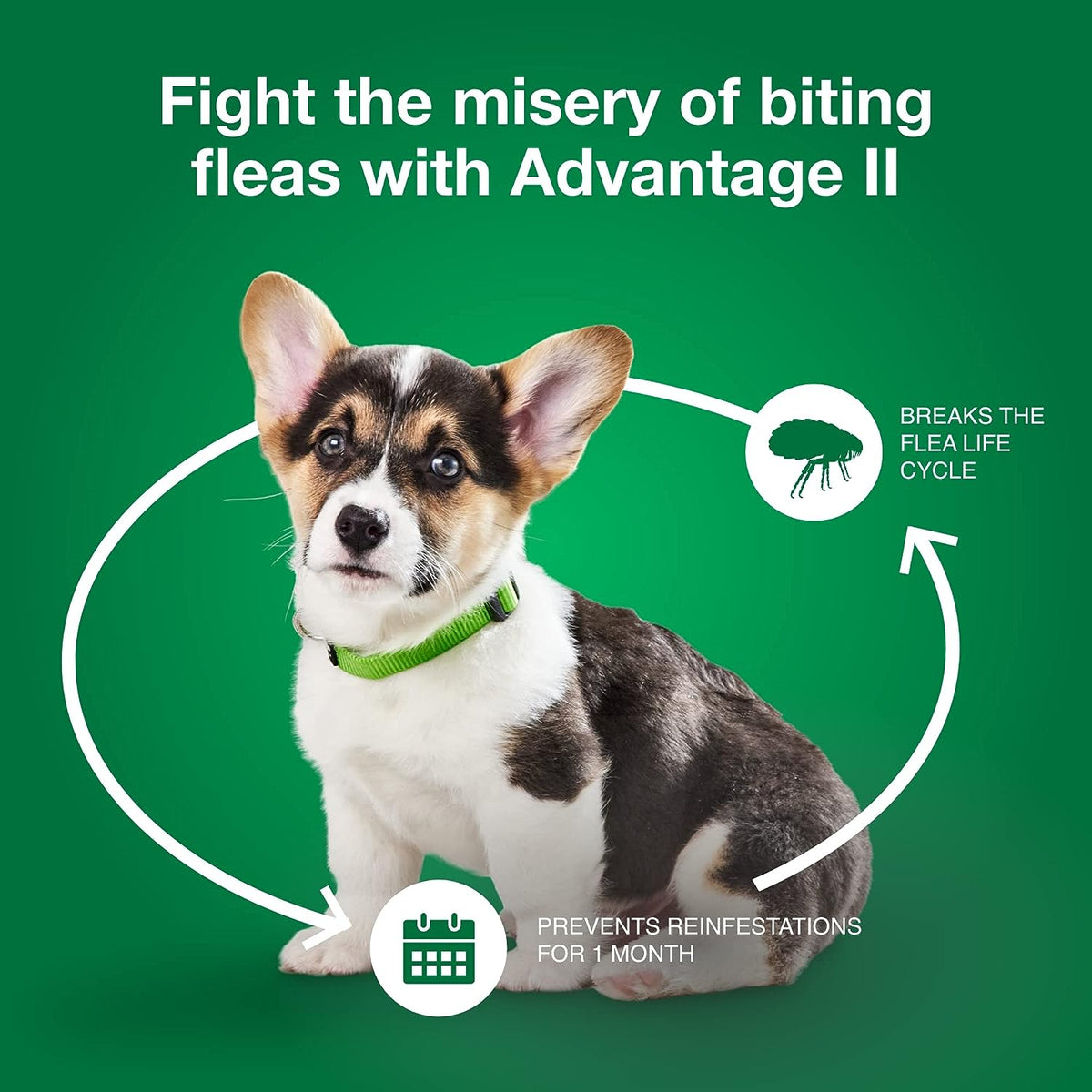 Topical Dog Flea Treatment product image 7