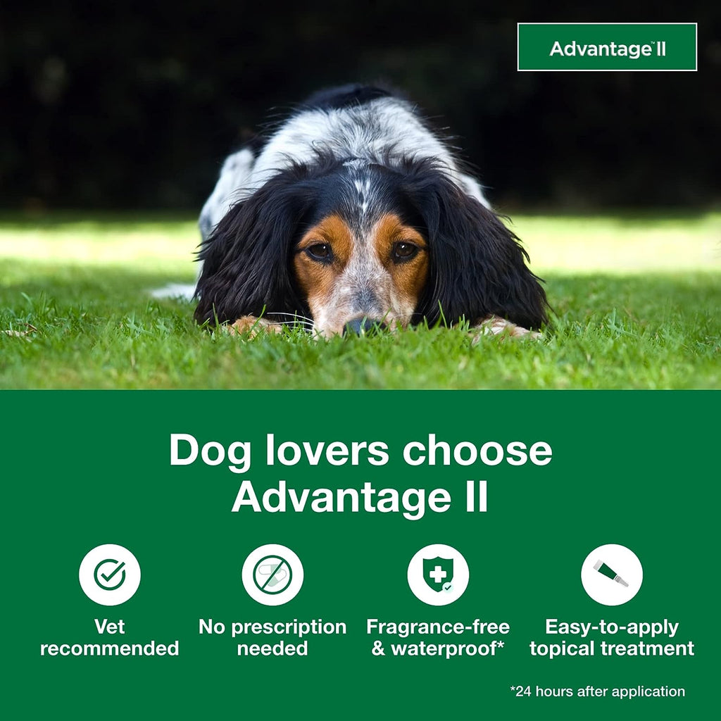 Topical Dog Flea Treatment product image 10