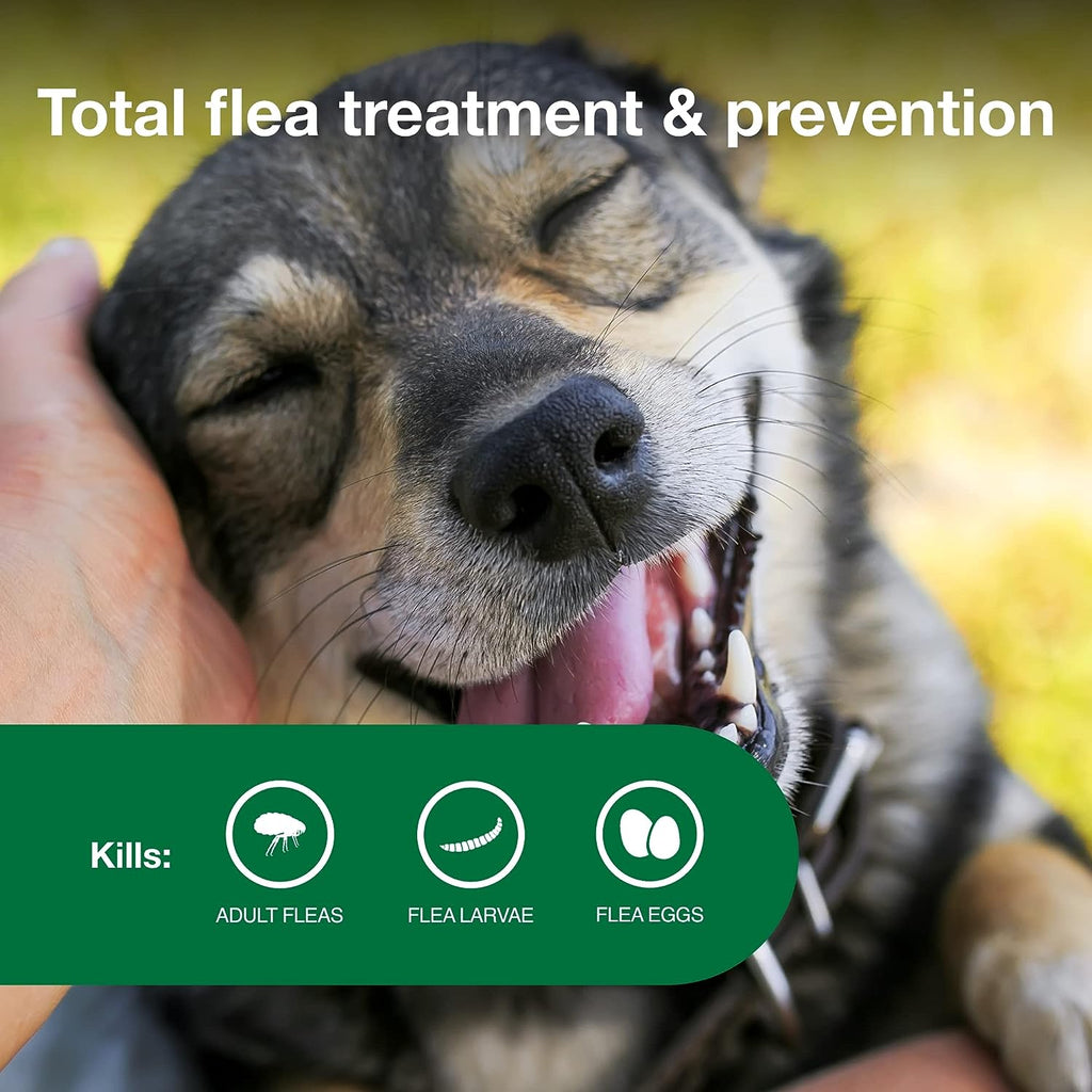 Topical Dog Flea Treatment product image 11