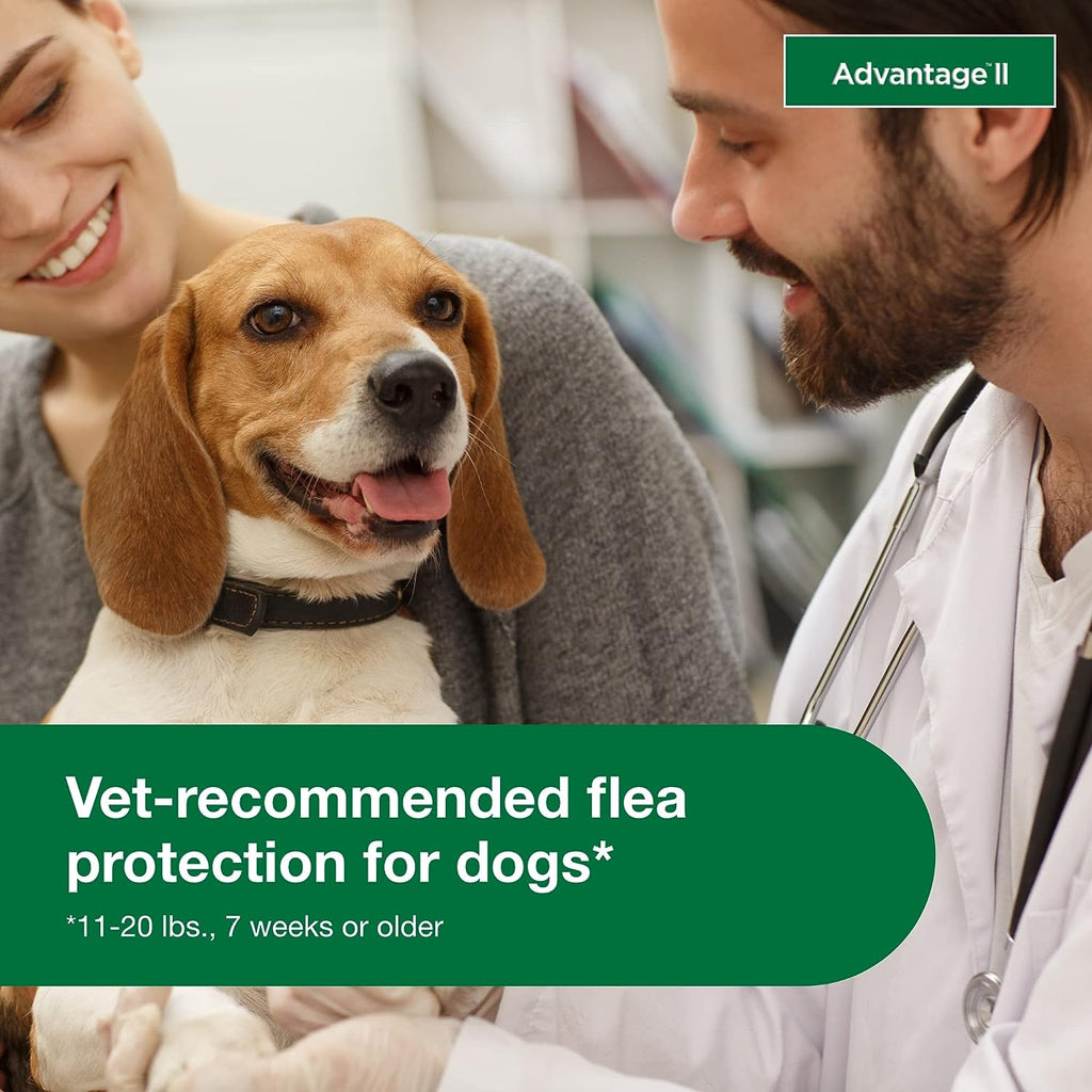 Topical Dog Flea Treatment product image 12