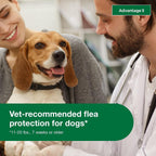 Topical Dog Flea Treatment product image 12