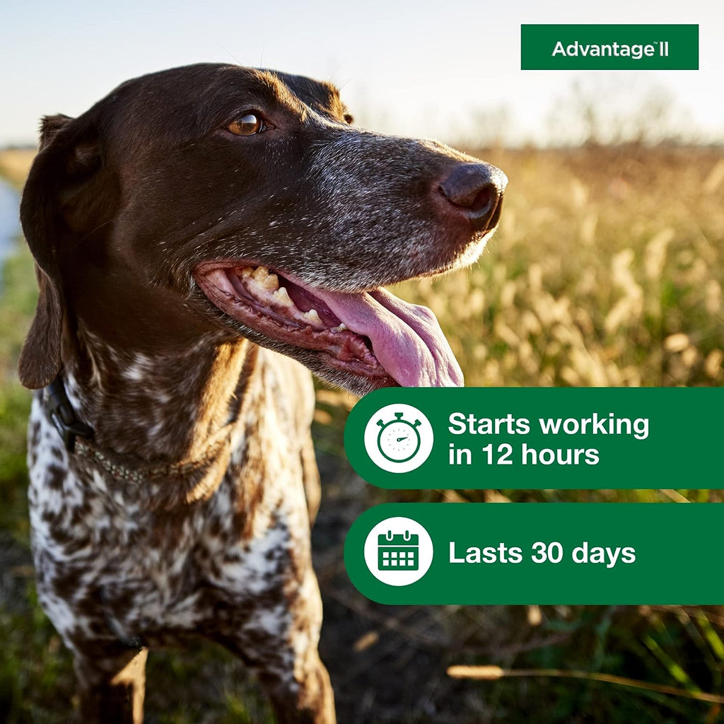 Topical Dog Flea Treatment product image 13