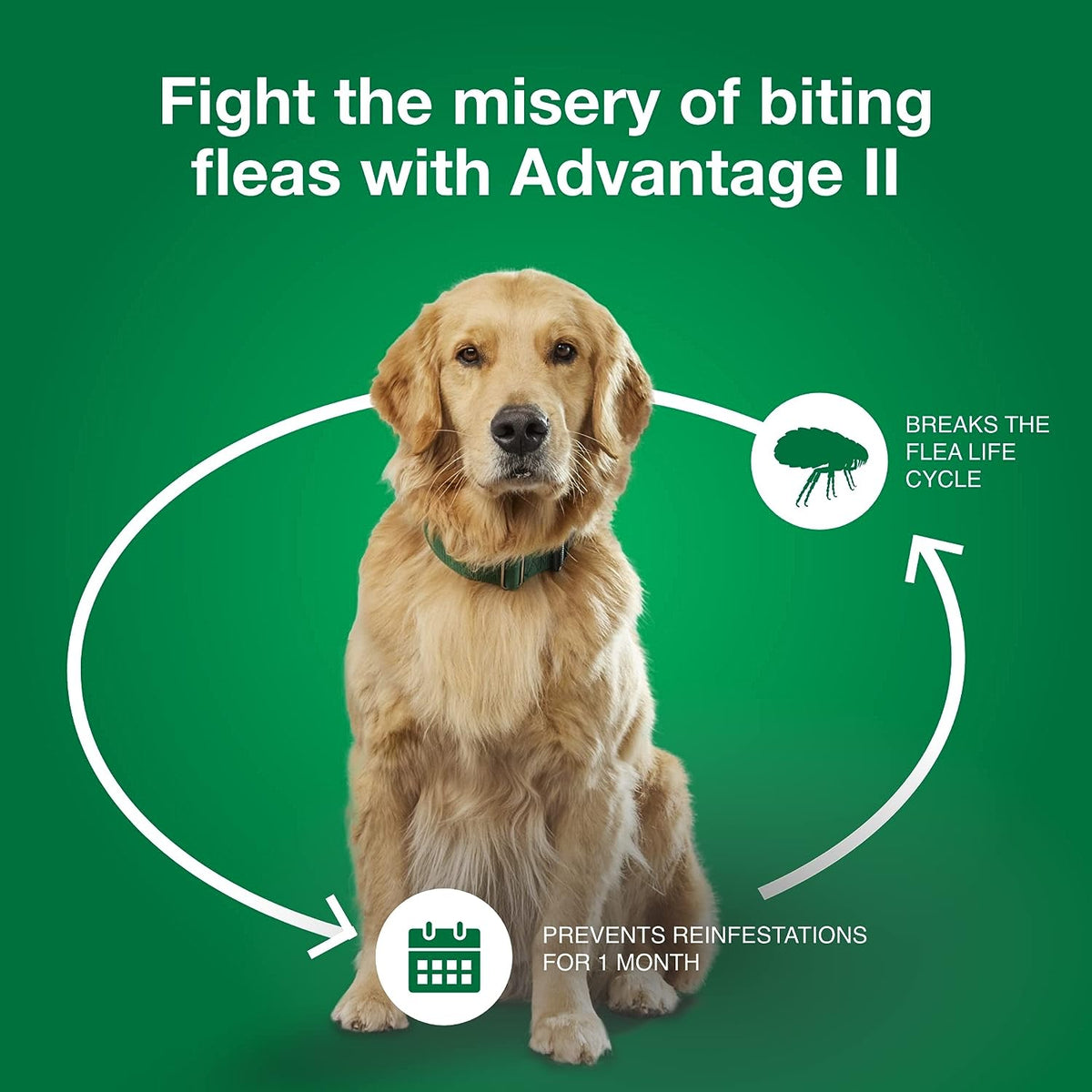 Topical Dog Flea Treatment product image 14
