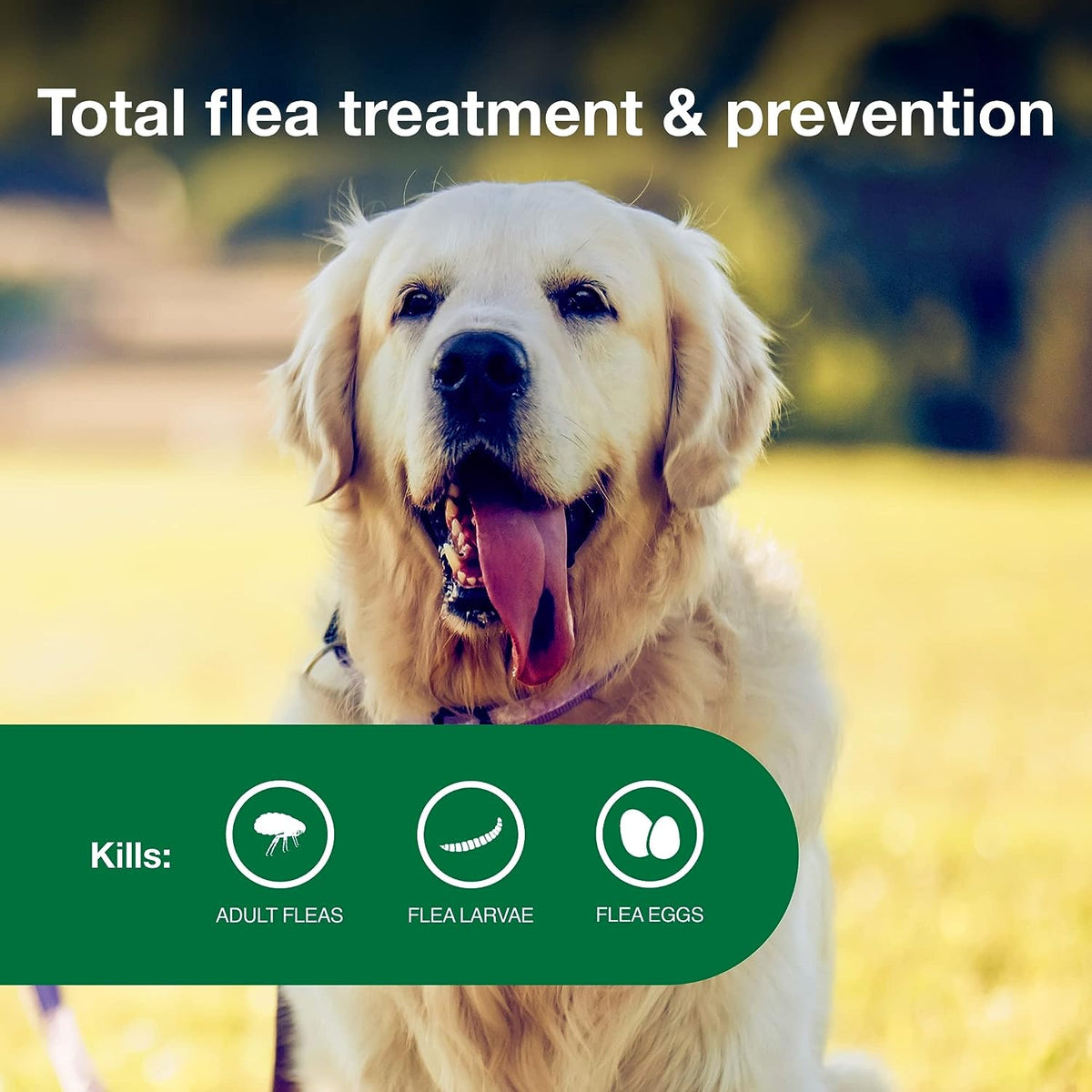 Topical Dog Flea Treatment product image 17
