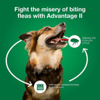 Topical Dog Flea Treatment product image 18