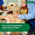 Topical Dog Flea Treatment product image 19