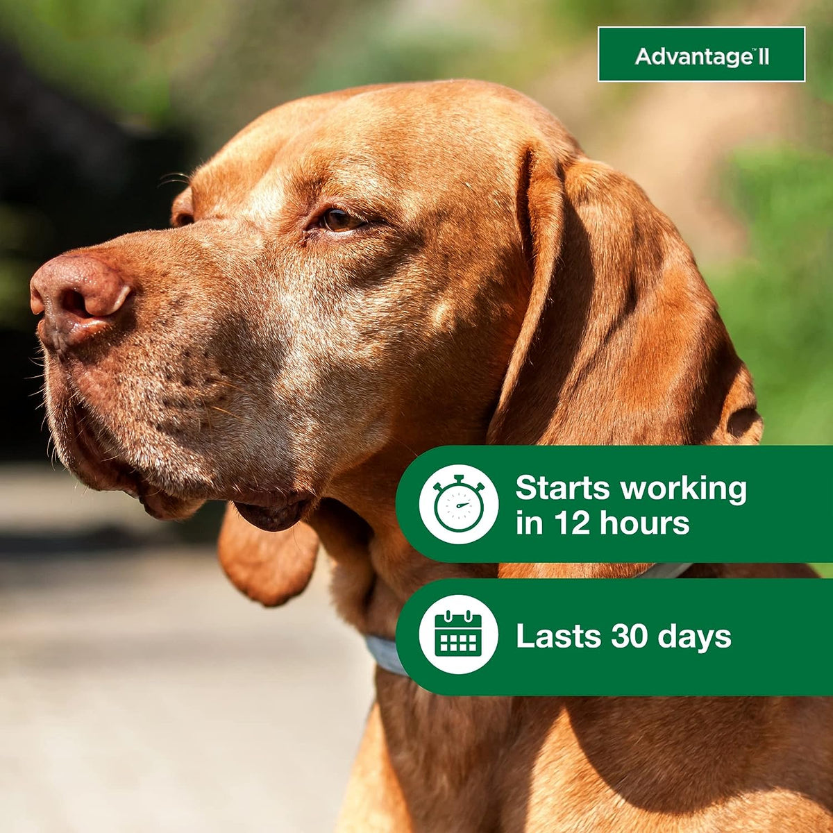 Topical Dog Flea Treatment product image 20