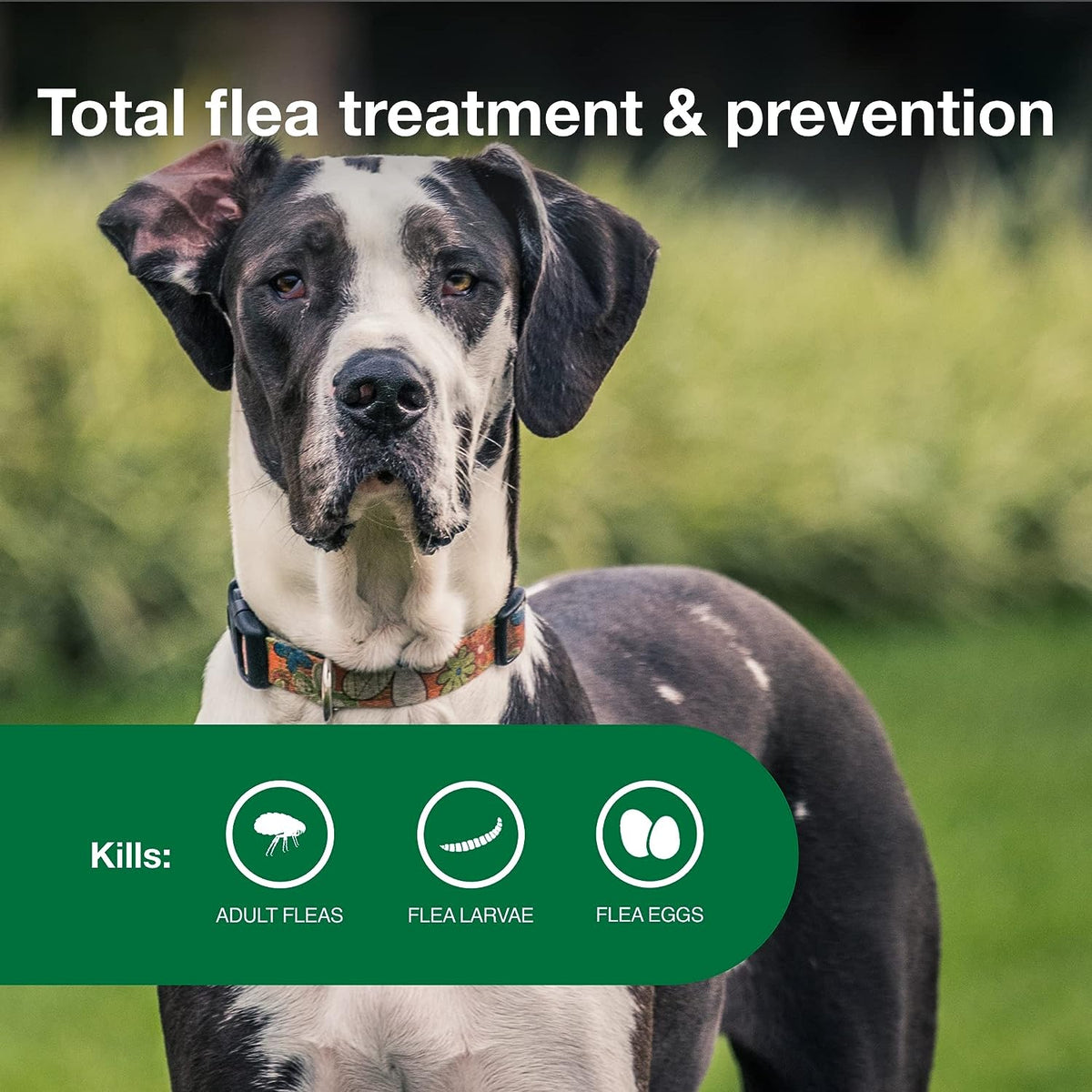 Topical Dog Flea Treatment product image 25