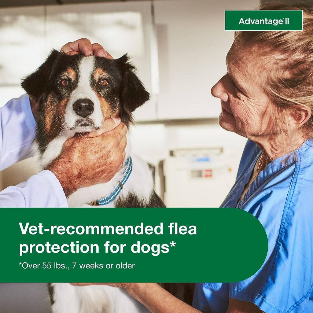 Topical Dog Flea Treatment product image 26