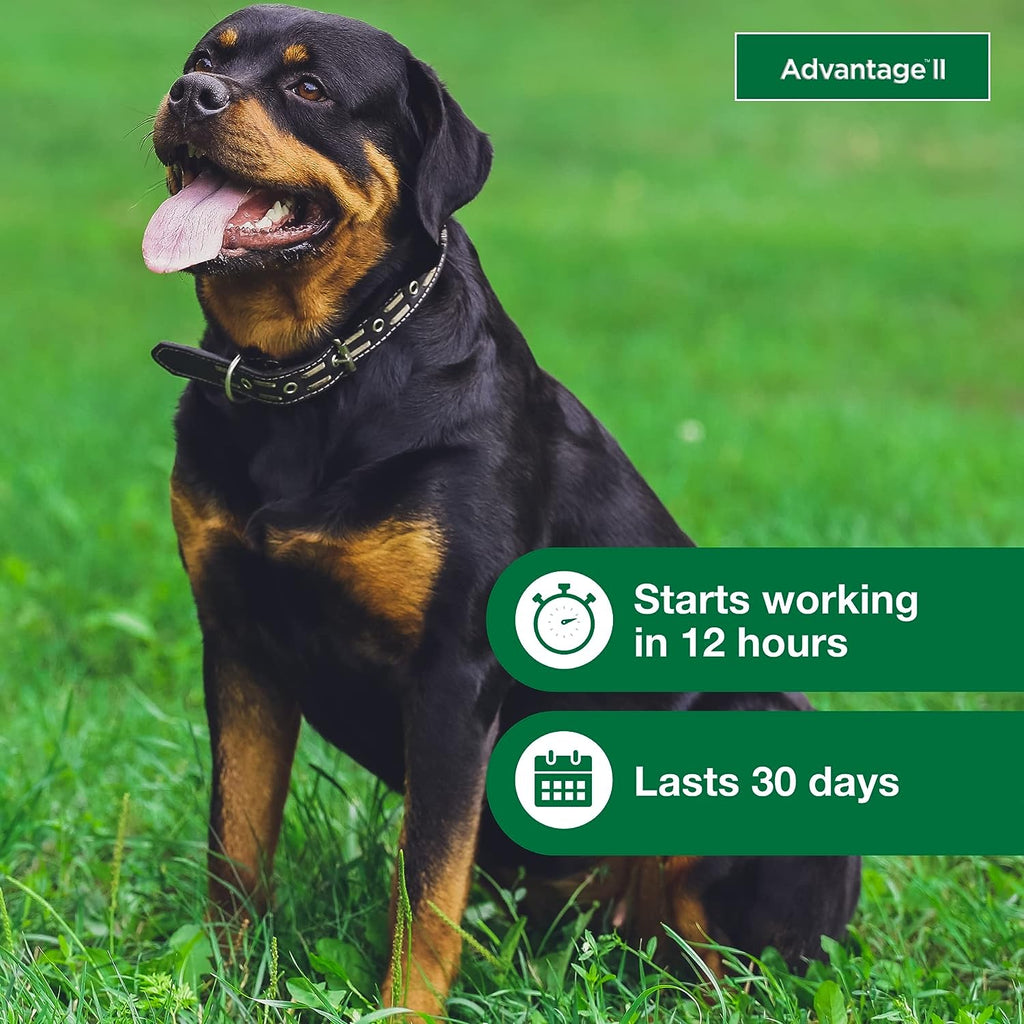 Topical Dog Flea Treatment product image 27