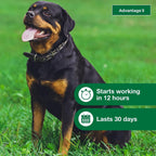 Topical Dog Flea Treatment product image 27