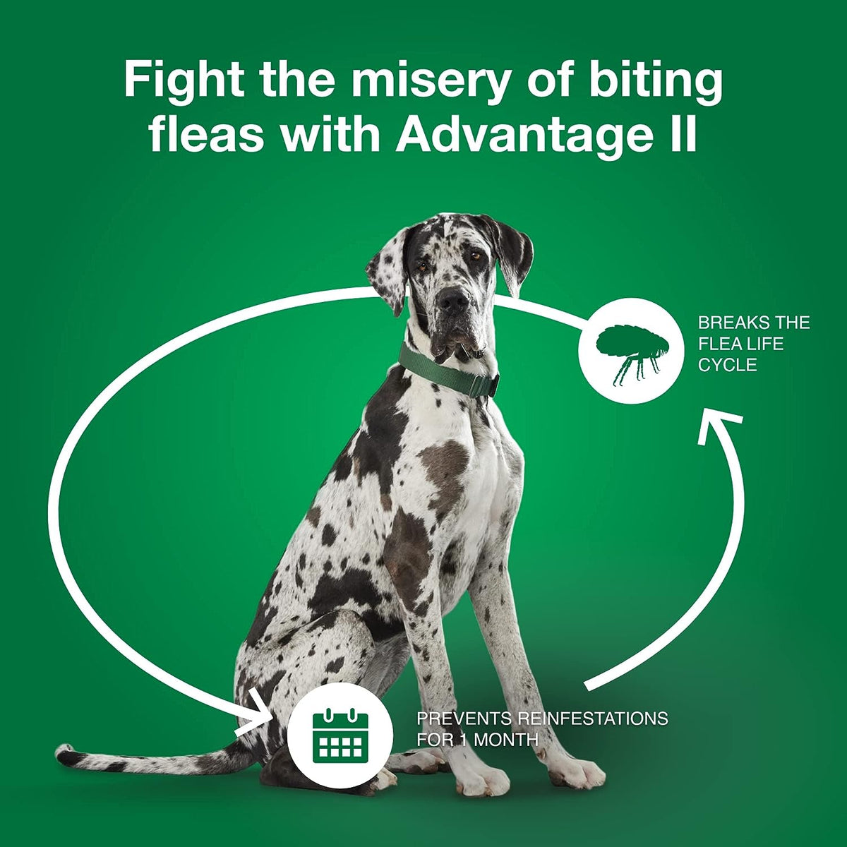 Topical Dog Flea Treatment product image 28