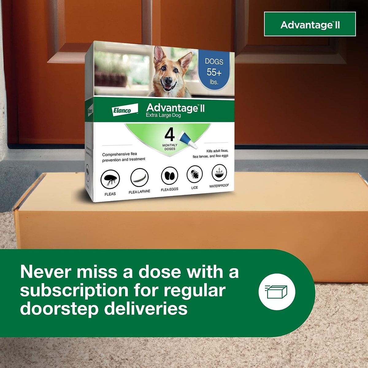Topical Dog Flea Treatment product image 29