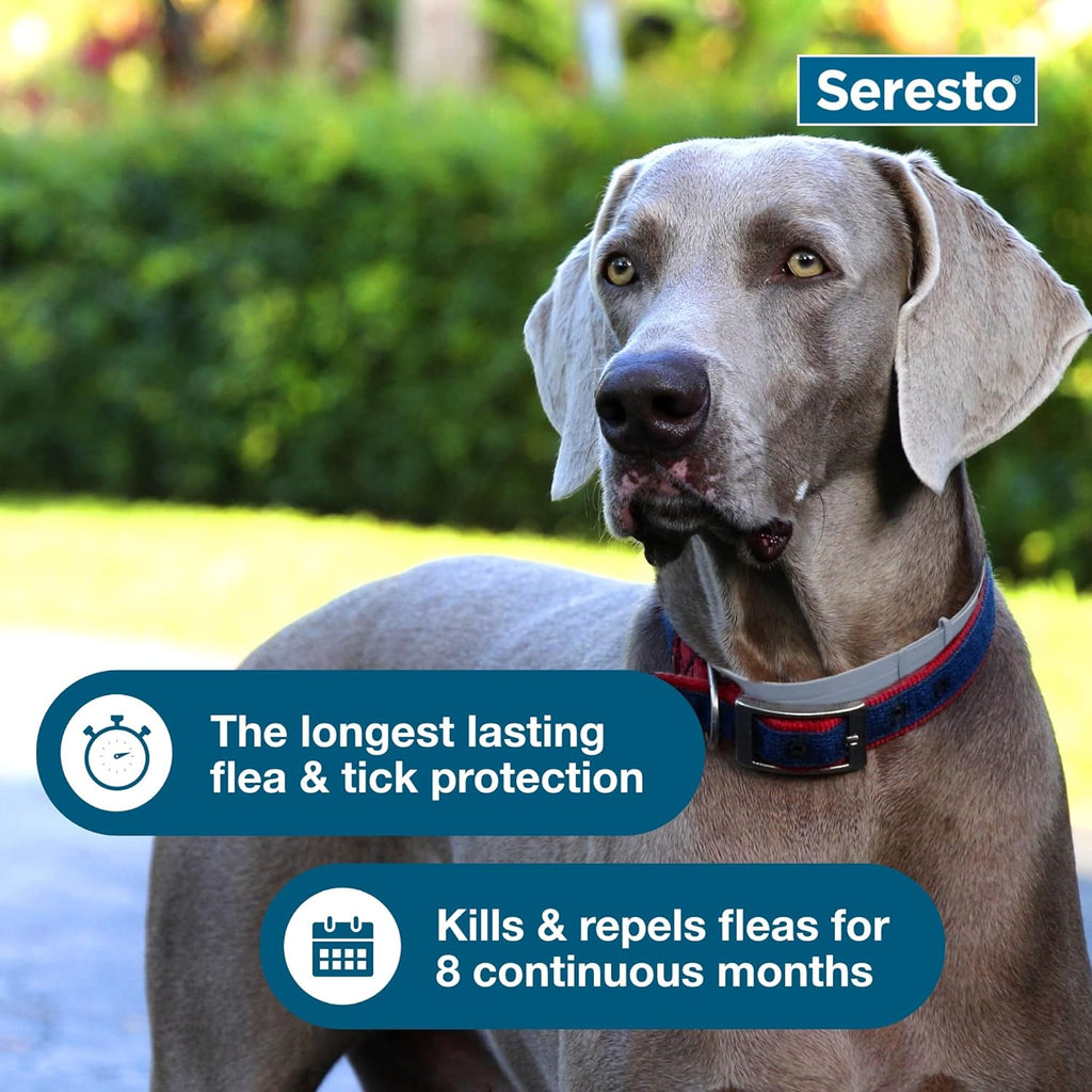 Dog Flea and Tick Collar product image 5