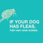 Dog Dewormer product image 3