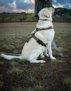 Dog Harness product image 5