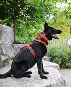 Dog Harness product image 9