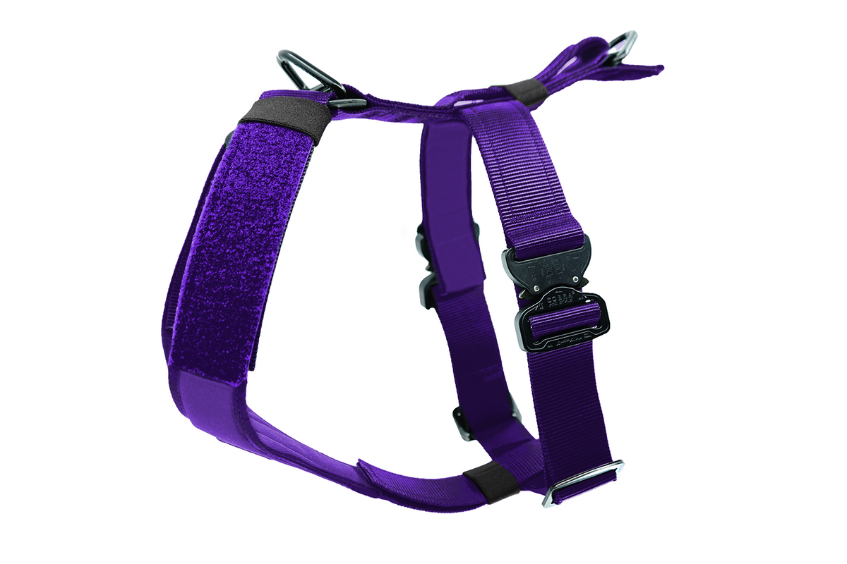 Dog Harness product image 22