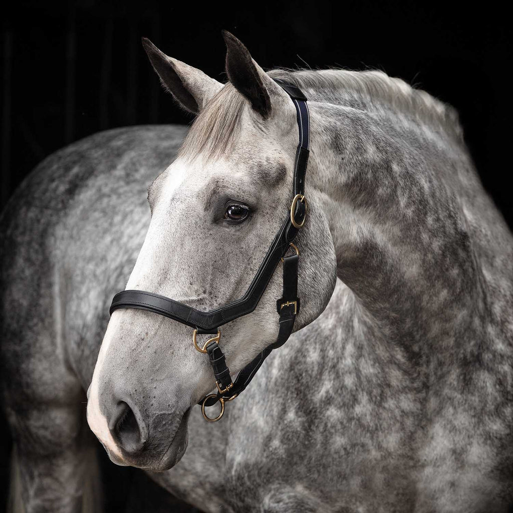 Leather Horse Halter product image 2