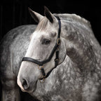 Leather Horse Halter product image 2