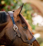 Leather Horse Halter product image 4