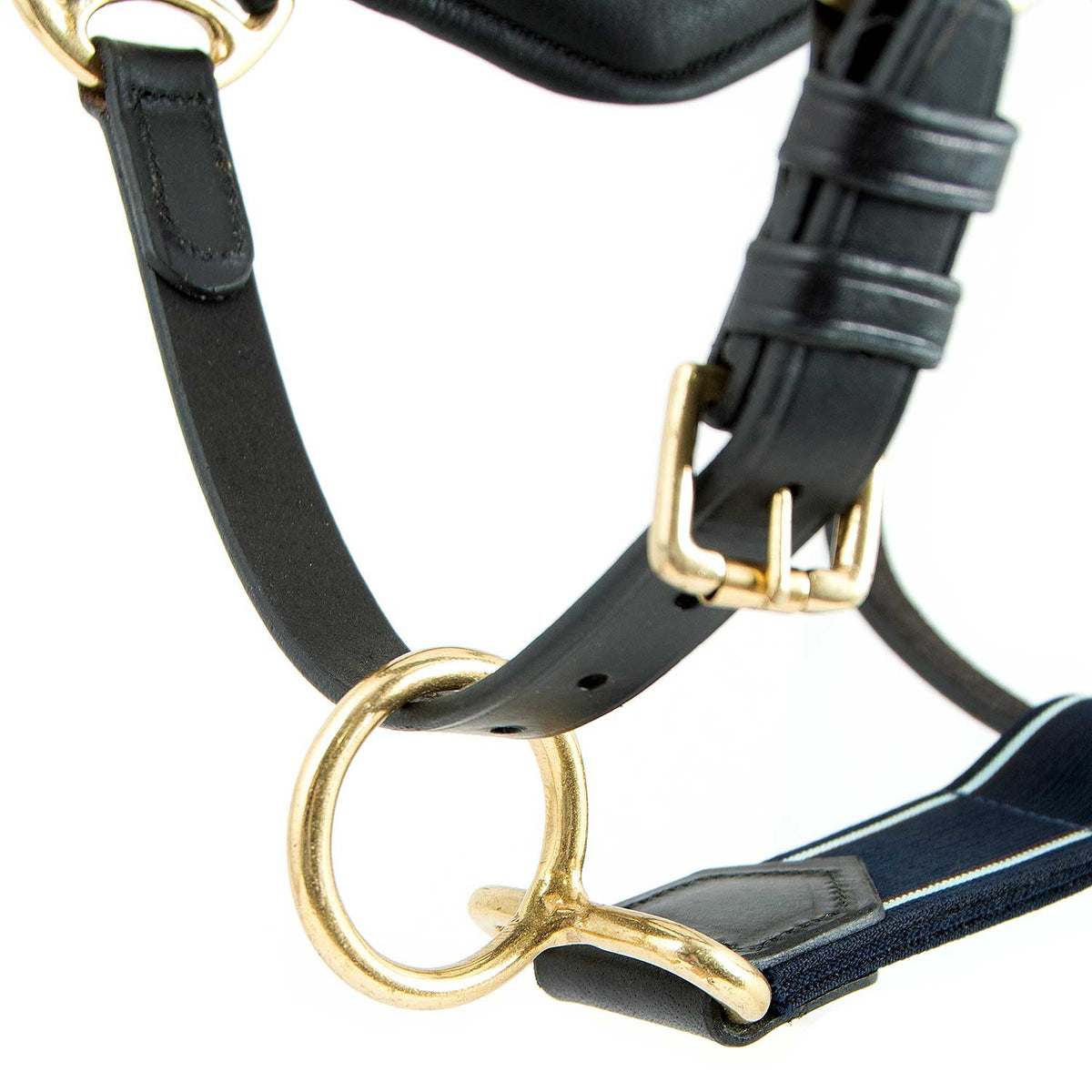 Leather Horse Halter product image 7