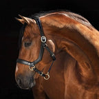 Leather Horse Halter product image 10