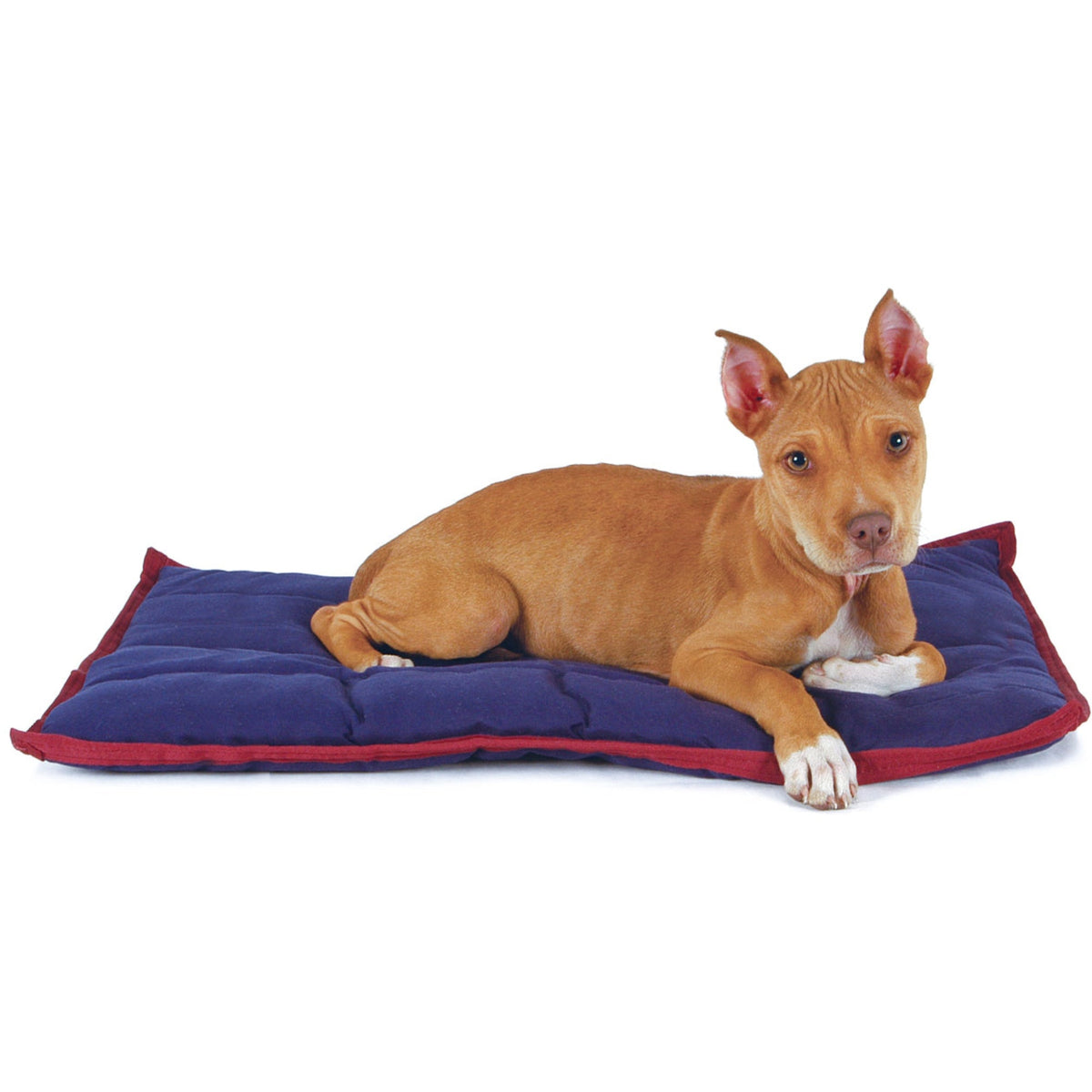 Dog Pillow product image 1