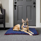 Dog Pillow product image 2