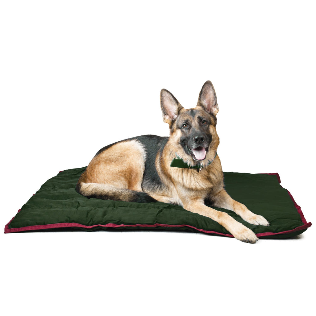 Dog Pillow product image 9